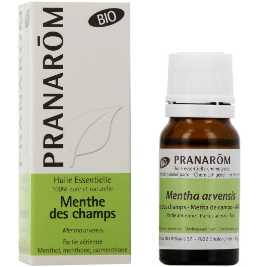 Pranarom Huile Essentielle Menthe des Champs Bio