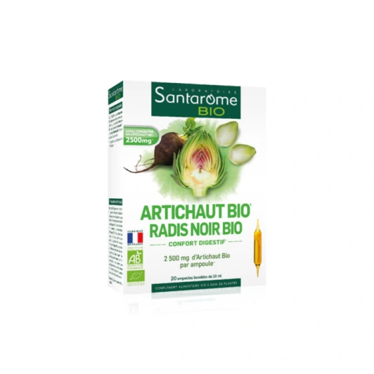 Artichaut Bio Radis Noir Bio