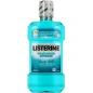 Listerine Bain de Bouche Fraîcheur Intense
