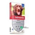 Bayer Advantix Chien Anti-Parasites