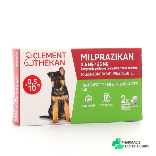 Milprazikan Vermifuge Chien