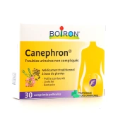 Canephron - Vue 360°