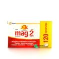 Mag 2 100mg comprimés
