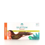 Silettum Boost - Vue 360°