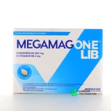 Megamag One - Vue 360°