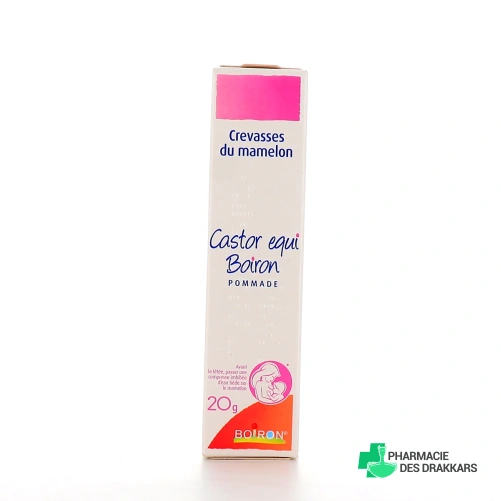 Castor equi Crevasses du Mamelon