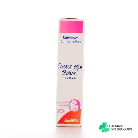 Castor equi Crevasses du Mamelon