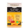 Herbesan Système Immunitaire