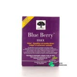 Blue Berry - Vue 360°