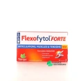 Flexofytol Forte
