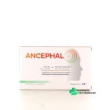 Ancephal - Vue 360°
