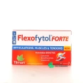 Flexofytol Forte
