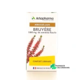 Arkogélules Bruyère - Vue 360°
