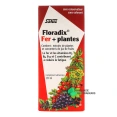 Floradix Fer + Plantes