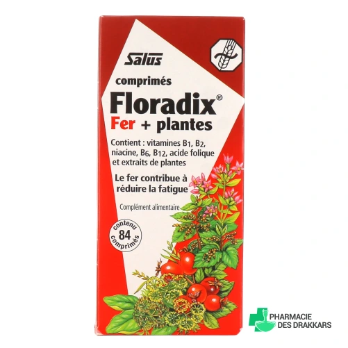 Floradix Fer + Plantes