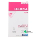 Pileje Digebiane sBO - Vue 360°