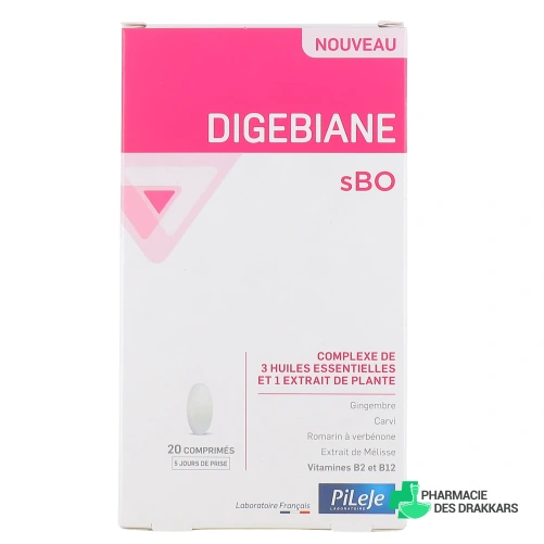 Pileje Digebiane sBO