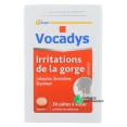 Vocadys Pâtes à Sucer Irritations de la Gorge
