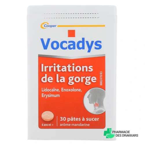 Vocadys Pâtes à Sucer Irritations de la Gorge