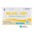 Dielen Molval Fort