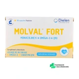 Dielen Molval Fort - Vue 360°
