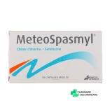 Meteospasmyl - Vue 360°