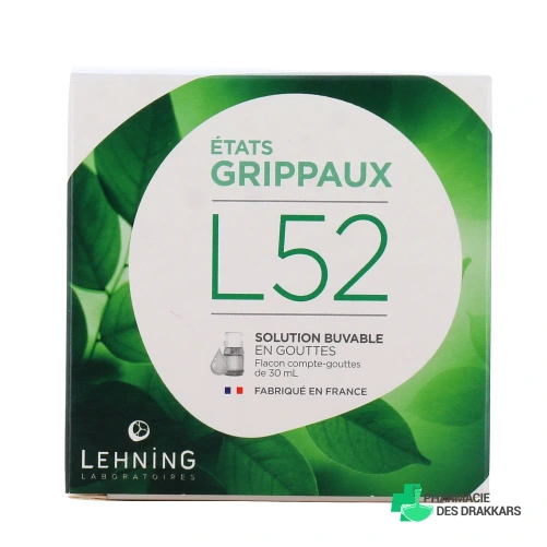 Lehning L52 Etats Grippaux