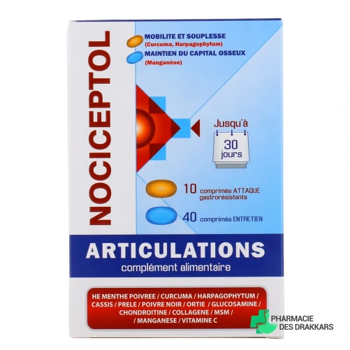 Nociceptol Articulations
