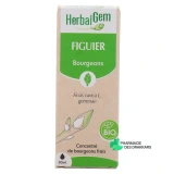 Herbalgem Figuier Bio - Vue 360°