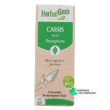 Herbalgem Cassis Bio - Vue 360°