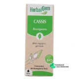 Herbalgem Cassis Bio - Vue 360°