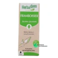 Herbalgem Framboisier Bio