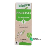 Herbalgem Framboisier Bio - Vue 360°