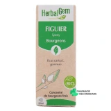 Herbalgem Figuier Bio - Vue 360°