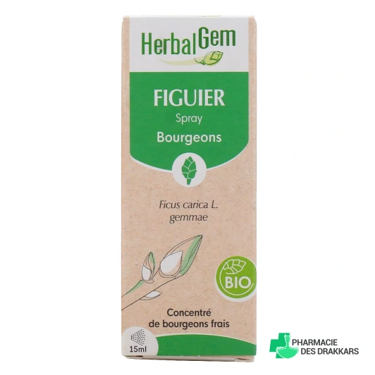 Herbalgem Figuier Bio