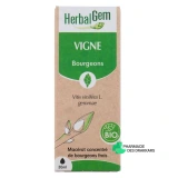 Herbalgem Vigne Bio - Vue 360°