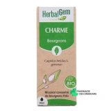 Herbalgem Charme Bio - Vue 360°