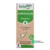 Herbalgem Cornouiller Bio - Vue 360°