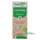 Herbalgem Genévrier Bio - Vue 360°