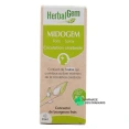 Herbalgem Midogem Forte Circulation Cérébrale Bio