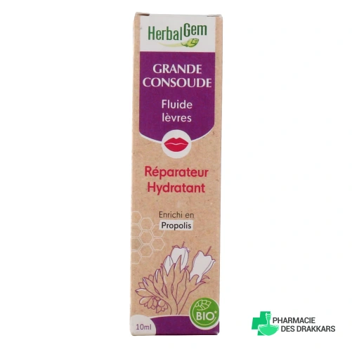 Herbalgem Baume à Lèvres Réparateur Grande Consoude Bio