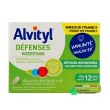 Alvityl Défenses - Vue 360°