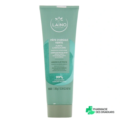 Laino Pâte d'argile verte prête à l'emploi