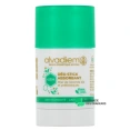 Alvadiem Déo Stick Absorbant 48h
