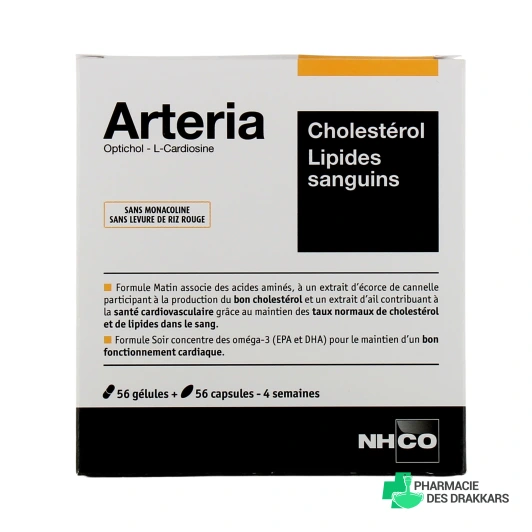 Arteria Cholestérol