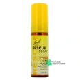 RESCUE® Jour Fleurs de Bach