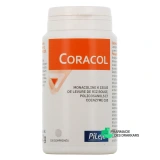 Pileje Coracol - Vue 360°