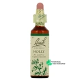 Fleurs de Bach Holly n°15