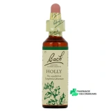 Fleurs de Bach Holly n°15 - Vue 360°