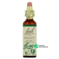 Fleurs de Bach Walnut n°33